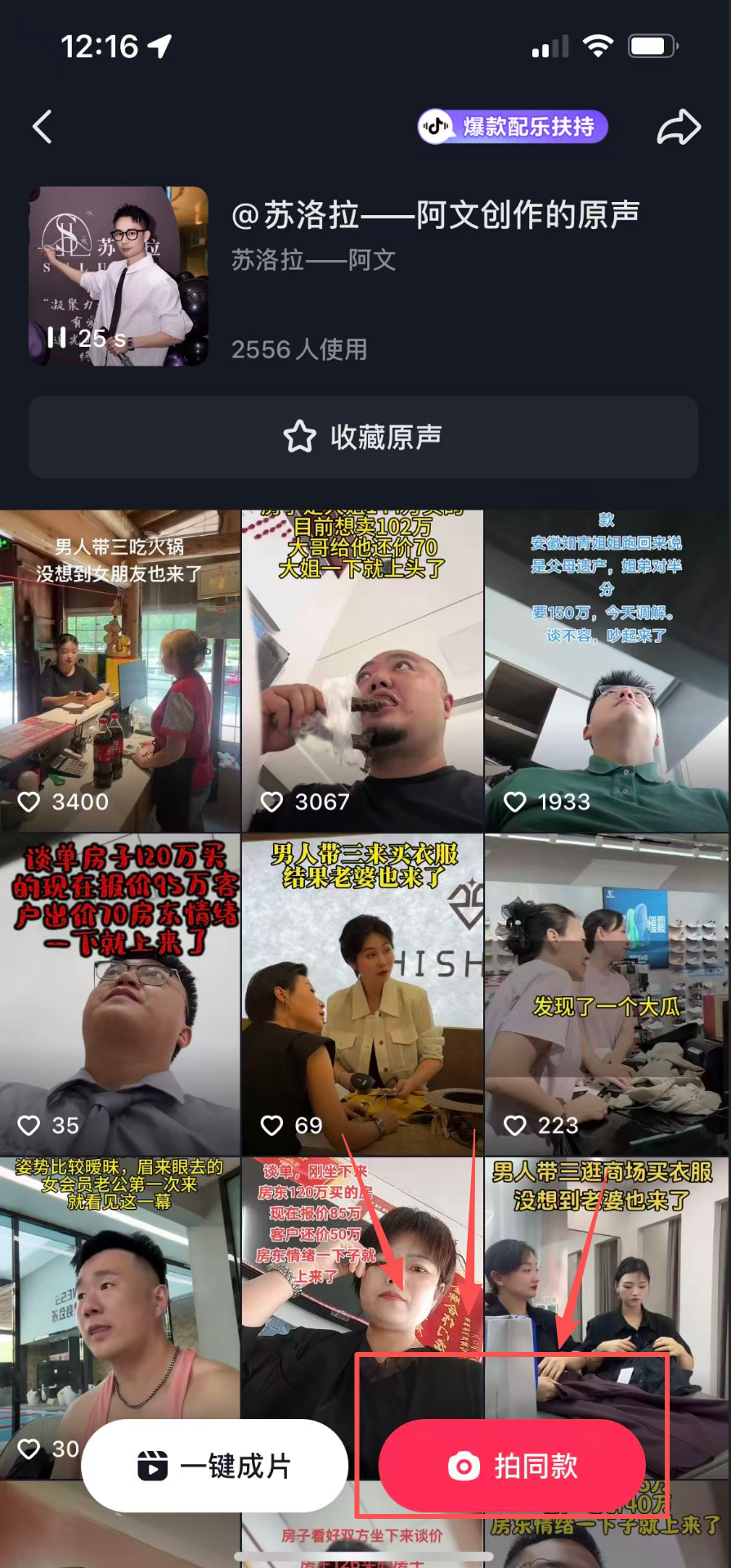 用洪一诺我看过记录萌宠瞬间