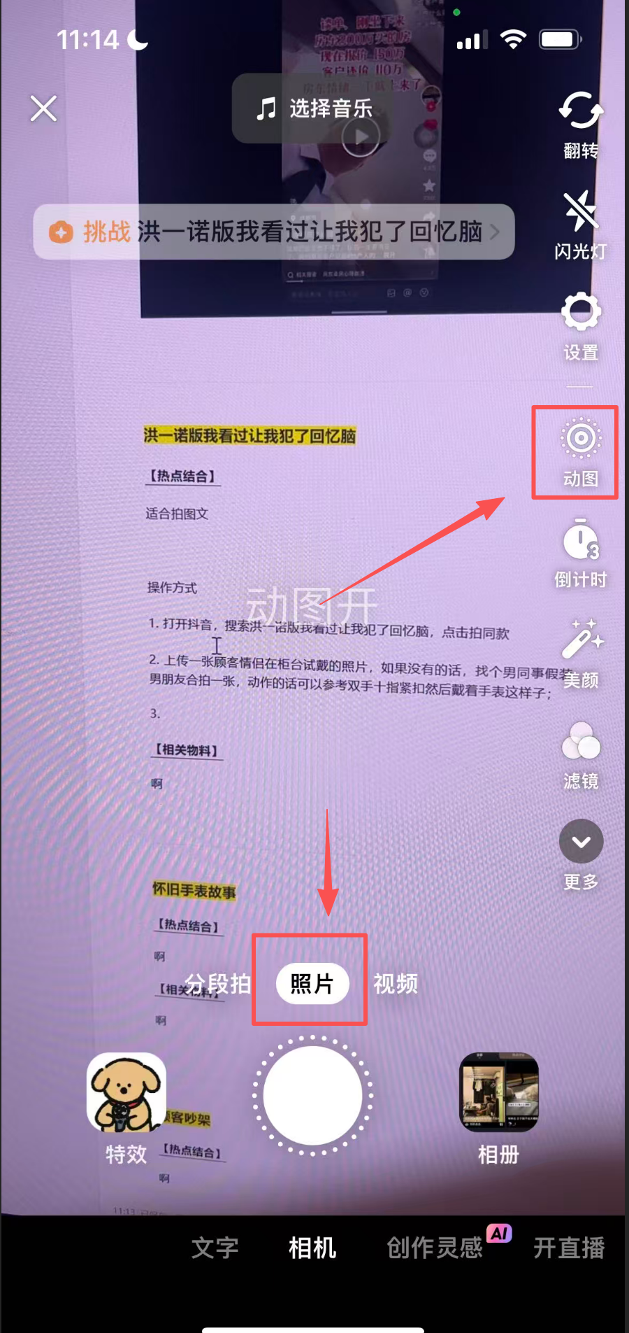 用洪一诺我看过记录萌宠瞬间