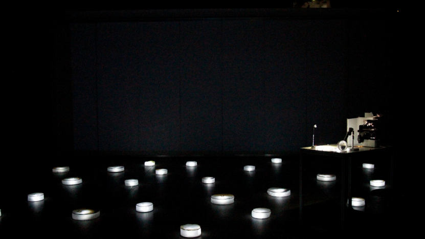 當(dāng)微納制造碰撞藝術(shù)創(chuàng)造，摩方贊助的微縮版諾亞方舟登月藝術(shù)展正在日本展出