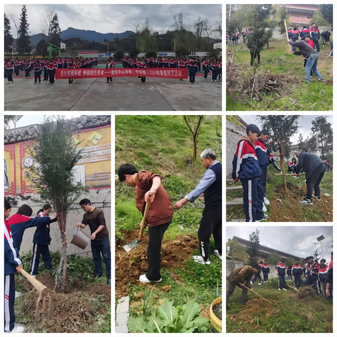 正安四小杨兴中心学校安场镇中心小学班竹中心学校建国中学尹珍中学桴