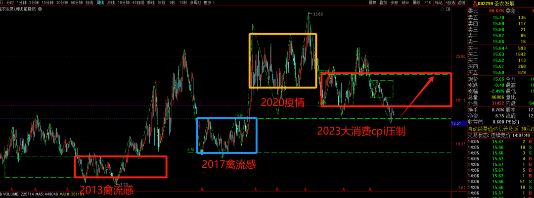 2024年05月17日 圣农发展股票