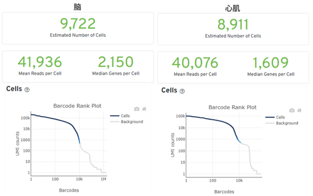 百奧益康細(xì)胞核懸液制備試劑盒
