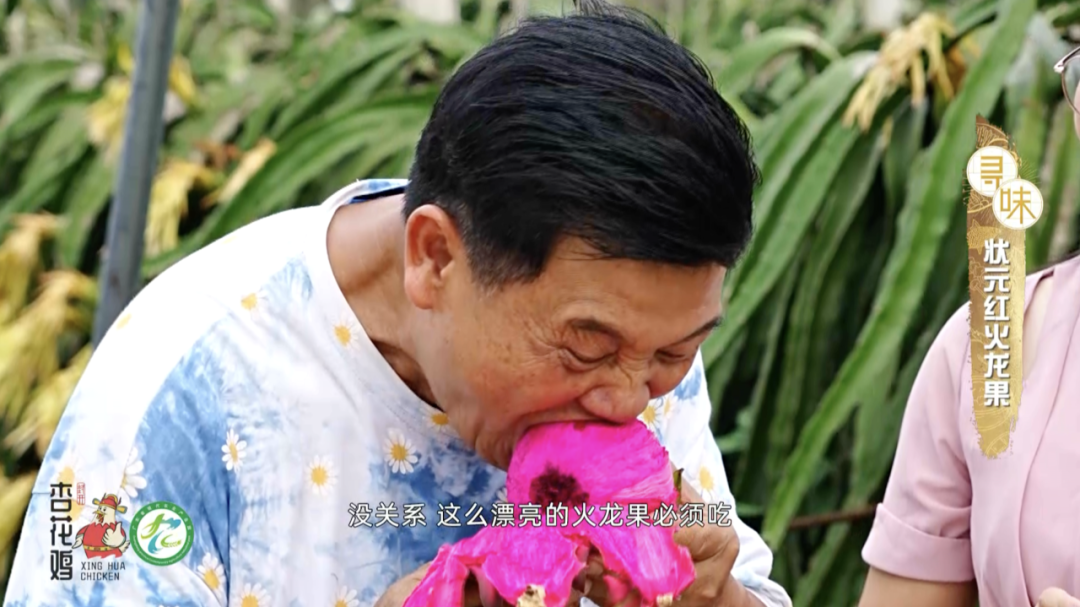 怎么联系当地鸡果然是人杰地灵~美味的封开杏花鸡和这些当地名产搭配1+1肯定大于2！_https://www.jmylbn.com_新闻资讯_第9张