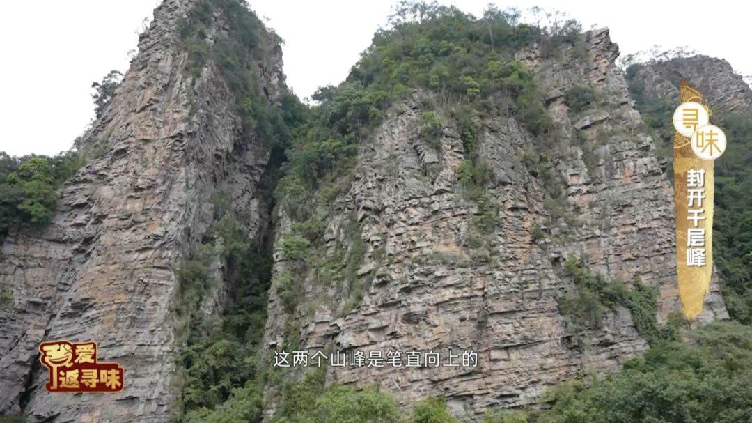 怎么联系当地鸡果然是人杰地灵~美味的封开杏花鸡和这些当地名产搭配1+1肯定大于2！_https://www.jmylbn.com_新闻资讯_第3张