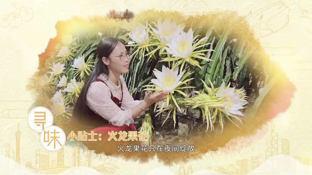 怎么联系当地鸡果然是人杰地灵~美味的封开杏花鸡和这些当地名产搭配1+1肯定大于2！_https://www.jmylbn.com_新闻资讯_第10张