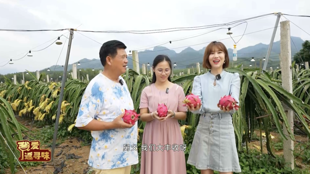 怎么联系当地鸡果然是人杰地灵~美味的封开杏花鸡和这些当地名产搭配1+1肯定大于2！_https://www.jmylbn.com_新闻资讯_第8张