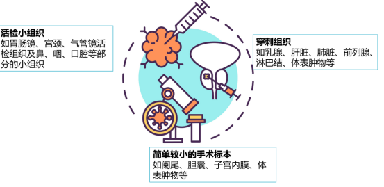 医疗蜡怎么使用2024新技术新项目｜病理报告不再等！病理科开展快速石蜡切片与诊断技术_https://www.jmylbn.com_新闻资讯_第7张