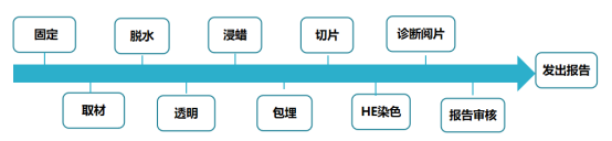 医疗蜡怎么使用2024新技术新项目｜病理报告不再等！病理科开展快速石蜡切片与诊断技术_https://www.jmylbn.com_新闻资讯_第3张