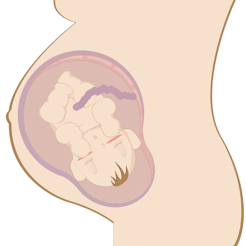 汕头彩超怎么样孕期检查＂划重点＂,为什么四维彩超这么重要？「汕头妇产科医院」_https://www.jmylbn.com_新闻资讯_第4张