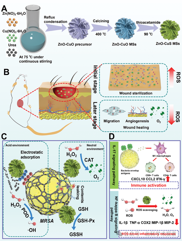 二阶系统的瞬态响应分析_多重响应分析_响应分析是什么意思