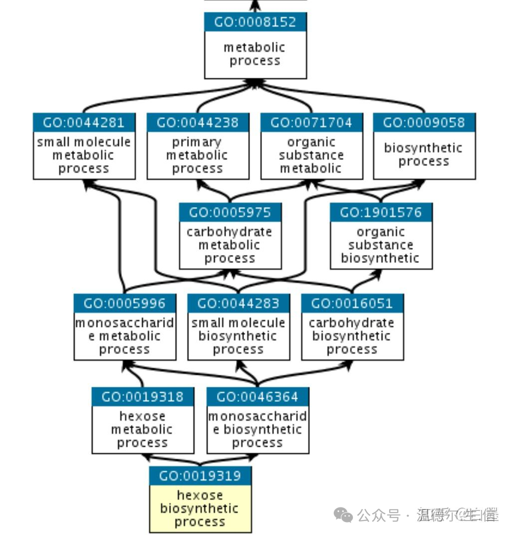 Ontology_How to understand ontology_The word ontology is the earliest