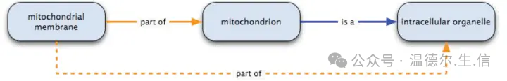 The word ontology is the earliest_Ontology_How to understand ontology