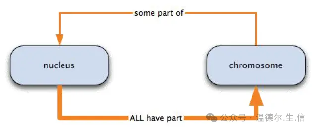 Ontology_The word ontology is the earliest_How to understand