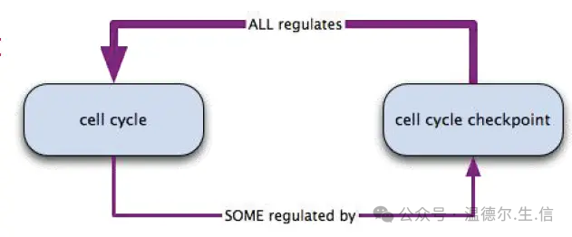 The earliest_Ontology_How to understand ontology