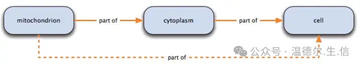 How to understand ontology_Ontology_The earliest word ontology