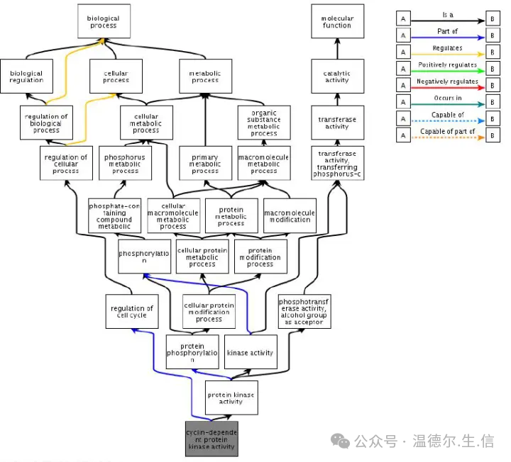 The earliest_Ontology_How to understand ontology