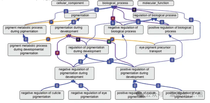 How to understand ontology_The word ontology is the earliest_Ontology