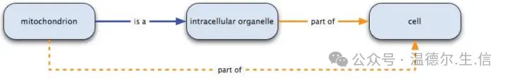 How to understand ontology_Ontology_The earliest word ontology