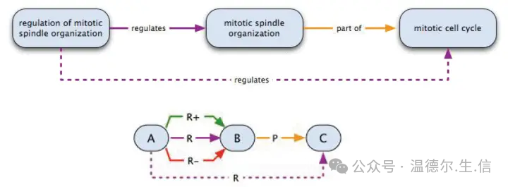 How to understand ontology_The word ontology is the earliest_Ontology