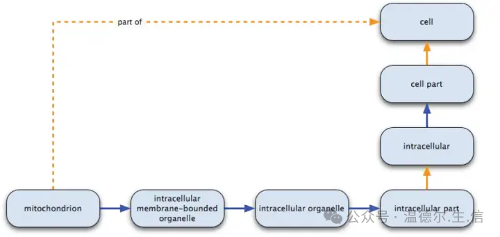 The earliest_Ontology_How to understand ontology