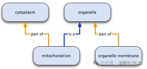 Ontology_The word ontology is the earliest_How to understand