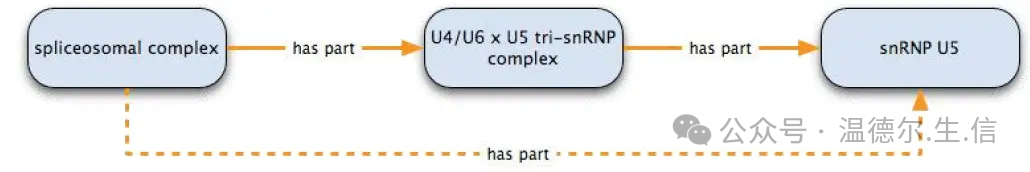 Ontology_How to understand ontology_The word ontology is the earliest