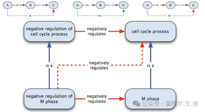 Ontology_How to understand ontology_The word ontology is the earliest