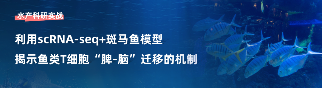 �嶨���-3.png