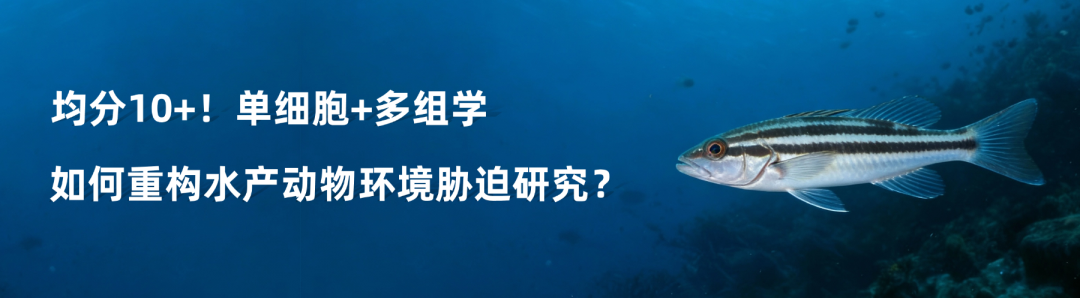 �嶨���-2.png