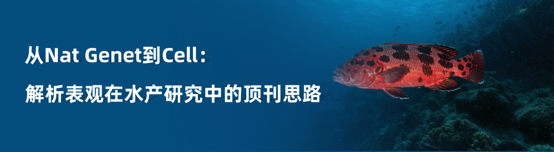 �嶨���-1.png