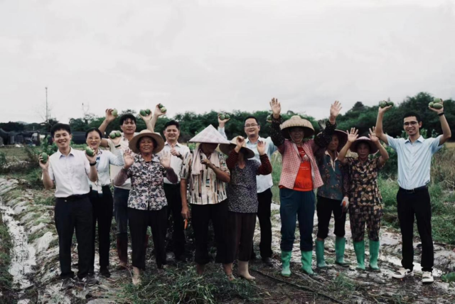 口埔村柠檬基地第一次采收时的喜悦场景。