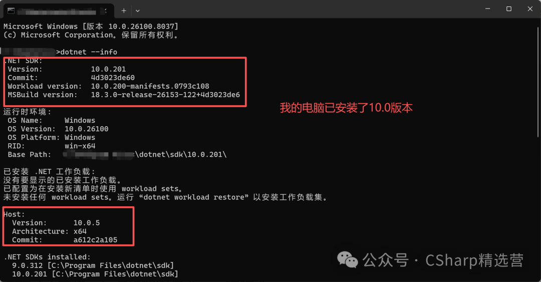 命令行终端执行dotnet --info命令显示.NET 8版本信息的截图