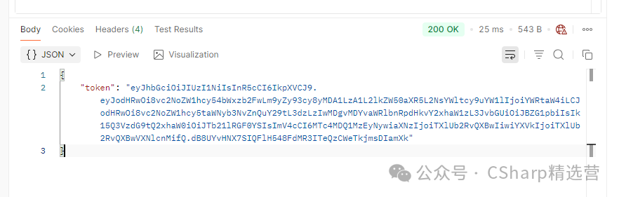Postman 调用登录接口成功返回 JWT Token 的截图