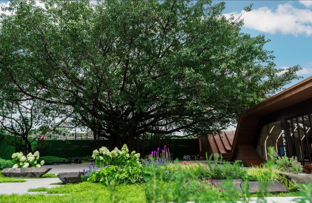 天河联投文津府单价6.2万/平起，项目有哪些配套？