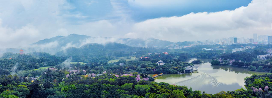 白云中国铁建西派云峰206㎡大平层准现楼，值不值得买？