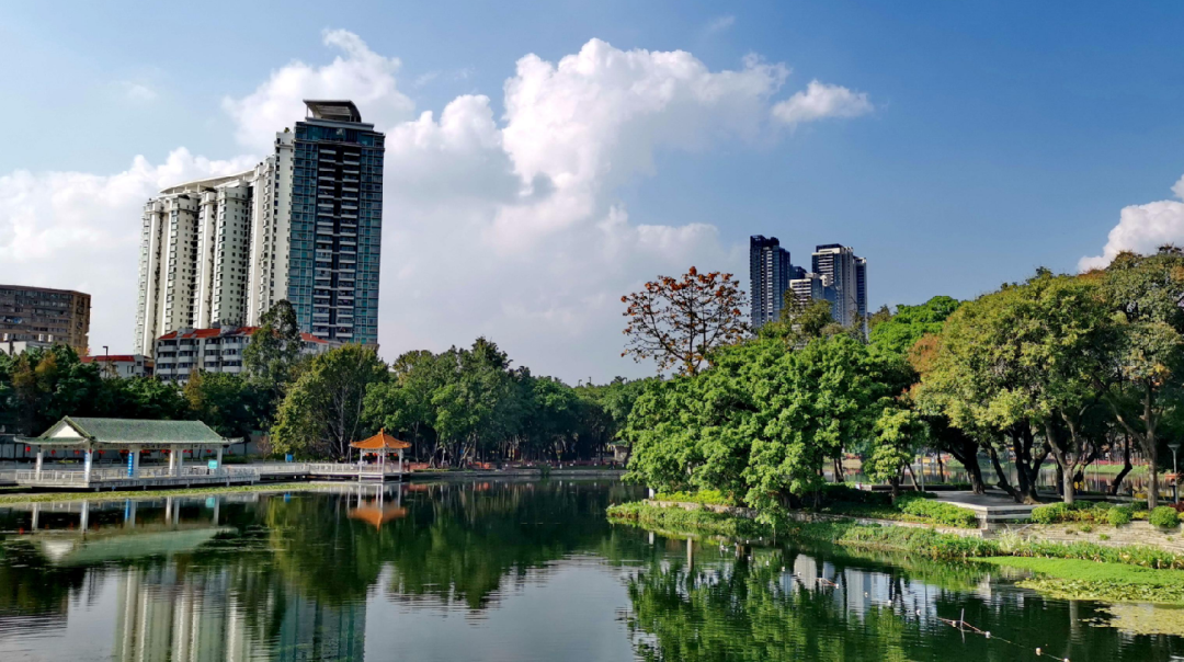 广州荔湾区新房怎么选，力迅荔筑怎么样？