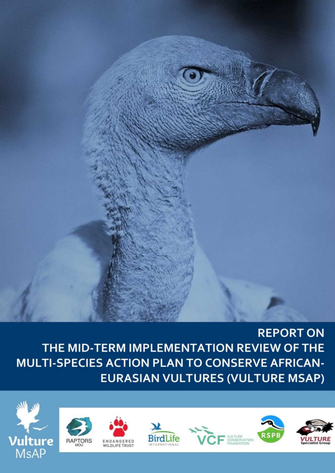 《非洲-欧亚秃鹫多物种保护行动计划中期实施审查报告》发布