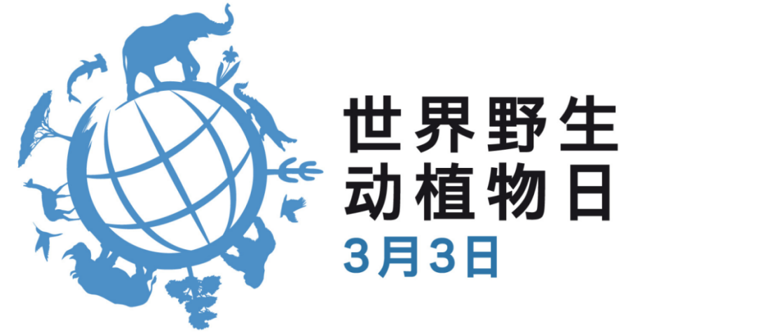 定了,2025年世界野生动植物日主题揭晓!