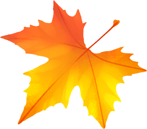 “科技创新巾帼行动”—农业科技专家进企业助力妇女增收致富