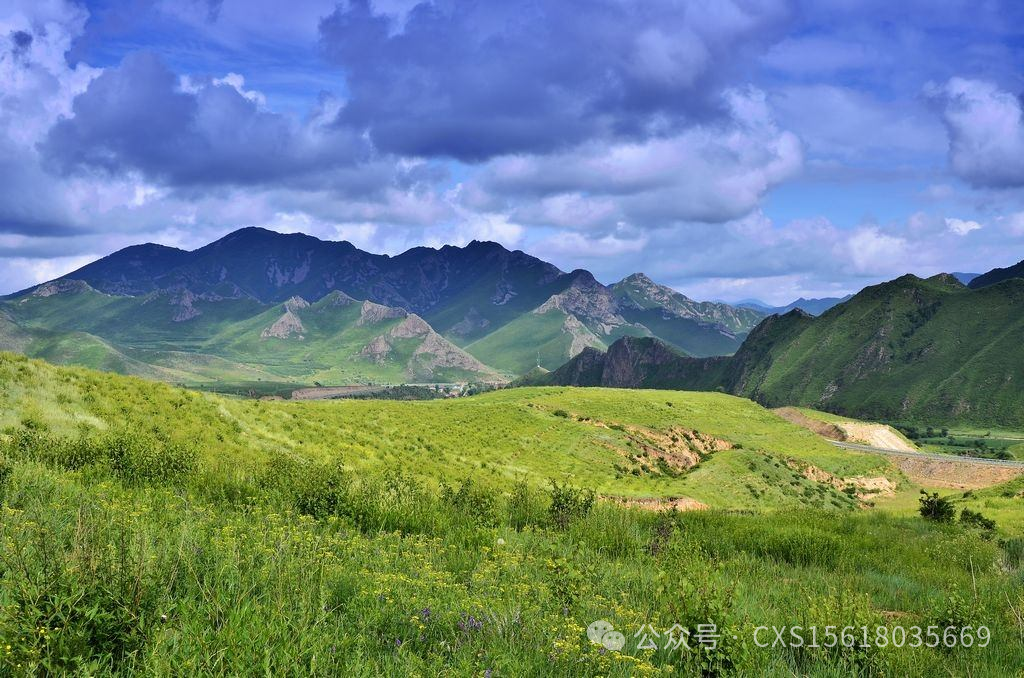 唐山凤凰旅行社最火的一句_唐山凤凰旅行社_唐山凤凰旅行社电话