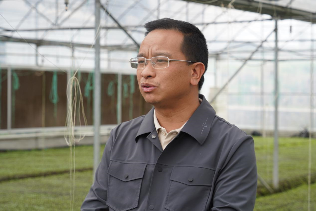 贵州力合农业科技有限公司总经理王开猛介绍道:"目前我们主要是做地盘