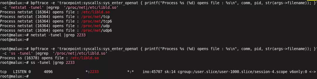 LinkPro 内部端口检测：netstat 与 ss 命令对比