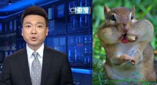 怼哭撒贝宁的央视一哥，婚后丁克22年一直租房，却过着让无数人羡慕的生活...（组图） - 17