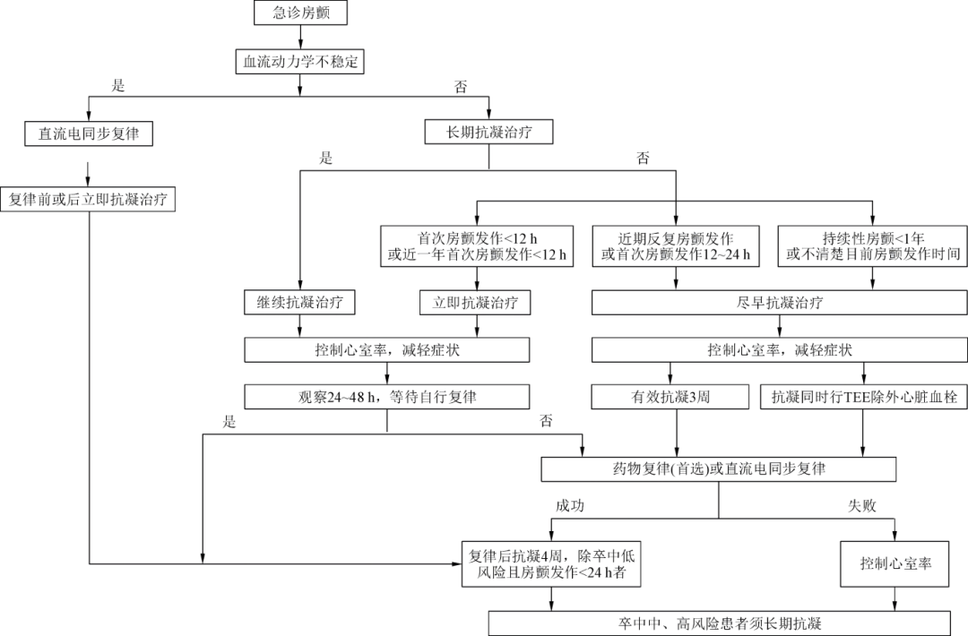 中国心房颤动管理：2025最新指南推荐，速览！