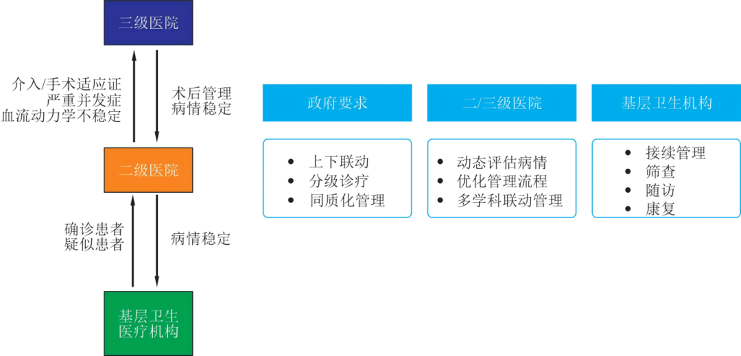 中国心房颤动管理：2025最新指南推荐，速览！
