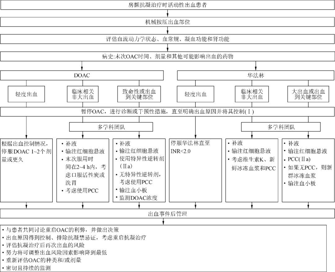 中国心房颤动管理：2025最新指南推荐，速览！