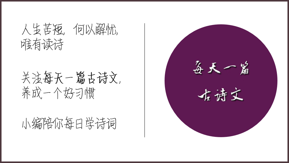 李白和谁合称大李杜