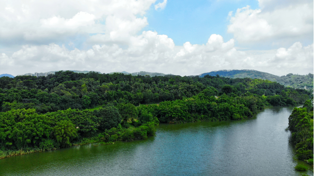 增城金地半山风华别墅，总价380万起！