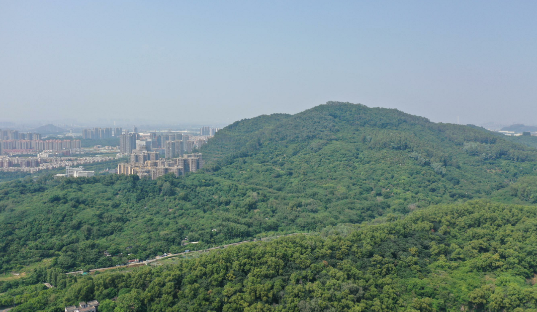 南沙佳兆业凤鸣山高层洋房新品加推，值不值得买？