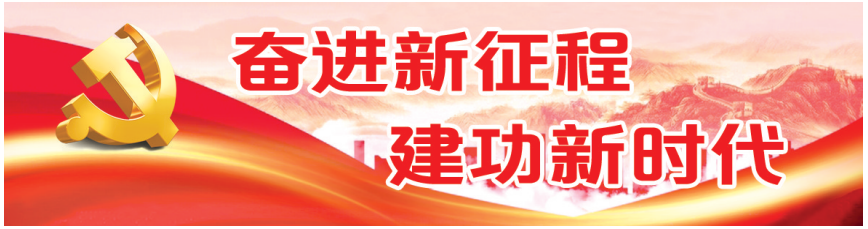 电动轮椅怎么保养轮椅的日常保养维护常识_https://www.jmylbn.com_新闻资讯_第3张